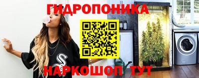 СК Владивосток