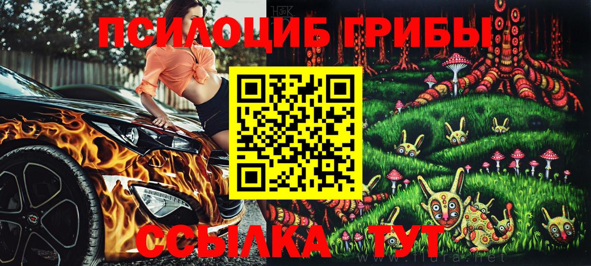 Галлюциногенные грибы мицелий  купить наркотик  Вход с VPN  Вольск  Псилоцибиновые грибы Psilocybine cubensis 